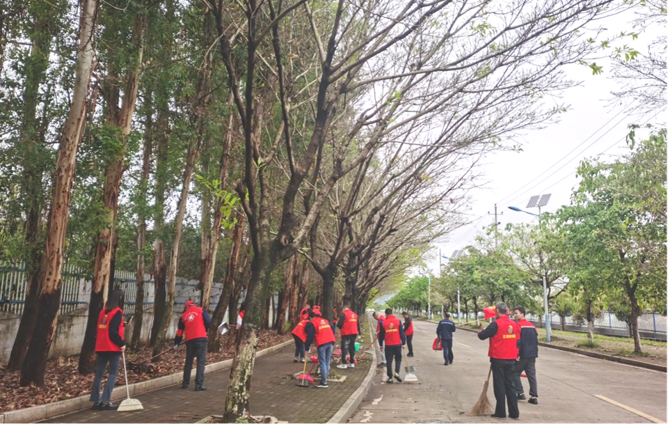 学习雷锋精神 党员先锋在行动